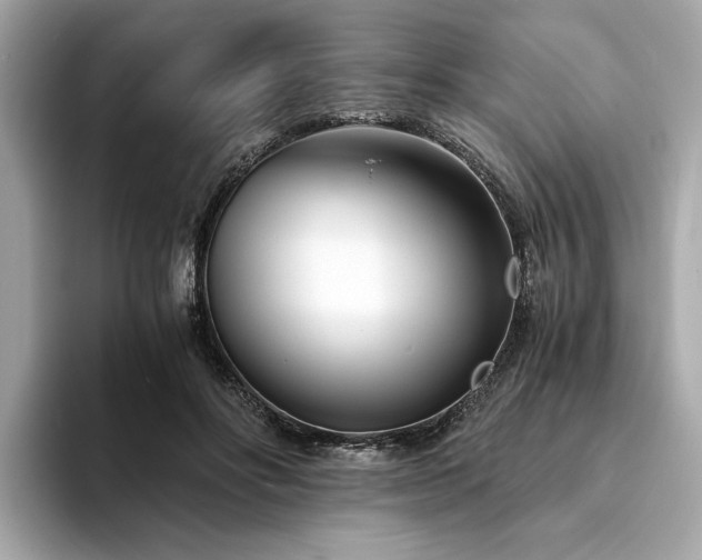 X0000094200502200710261155