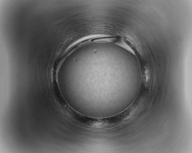 X0000094200504200710261155
