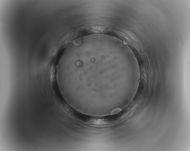 X0000094200507200710261155
