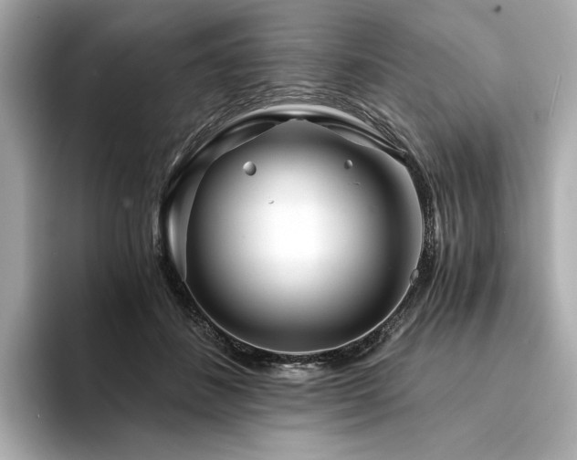 X0000094200508200710261155