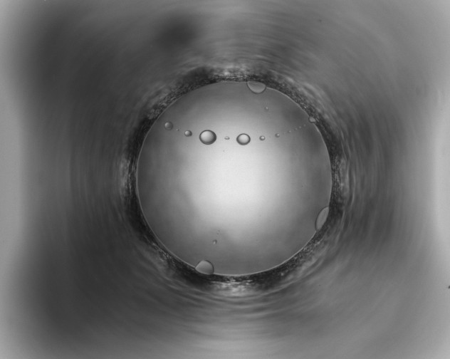 X0000094200511200710261155