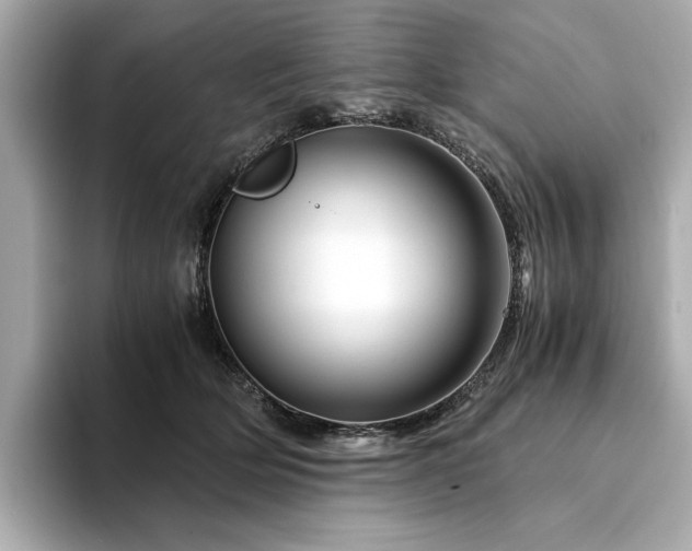 X0000094200514200710261155