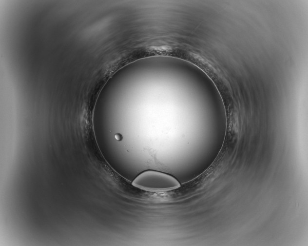 X0000094200518200710261154
