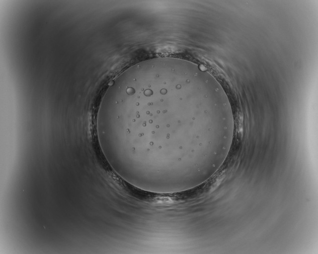X0000094200519200710261154