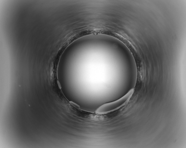 X0000094200520200710261154