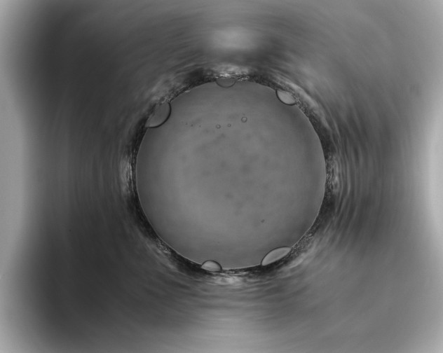 X0000094200523200710261154