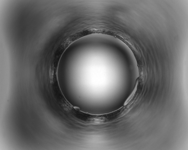 X0000094200525200710261154