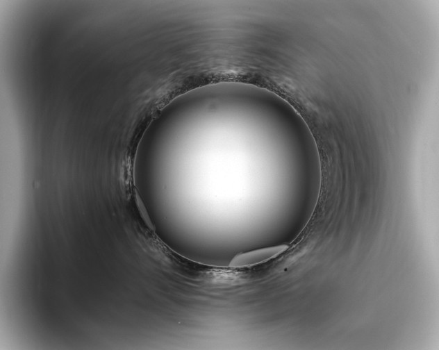 X0000094200528200710261154