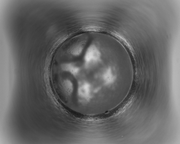 X0000094200529200710261154