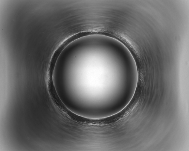 X0000094200532200710261154