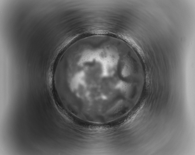 X0000094200533200710261154