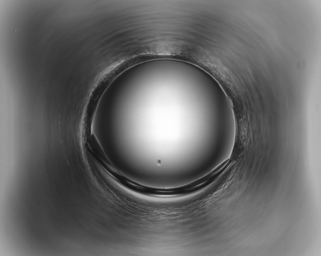 X0000094200536200710261154