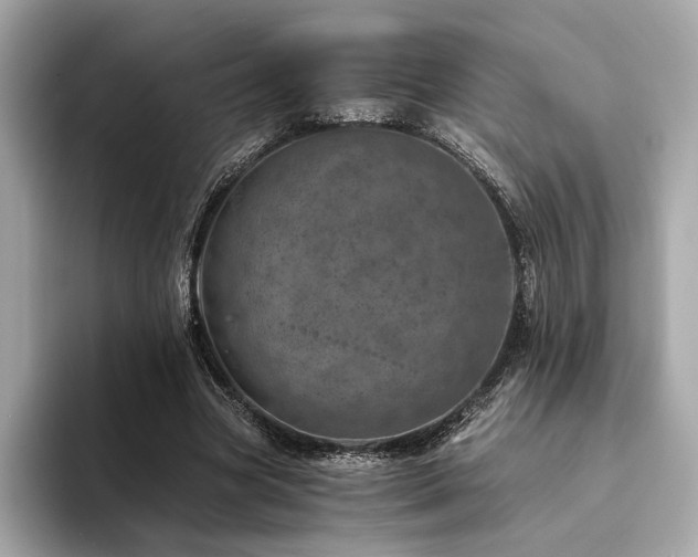 X0000094200537200710261154