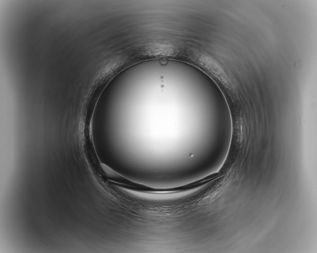 X0000094200538200710261154