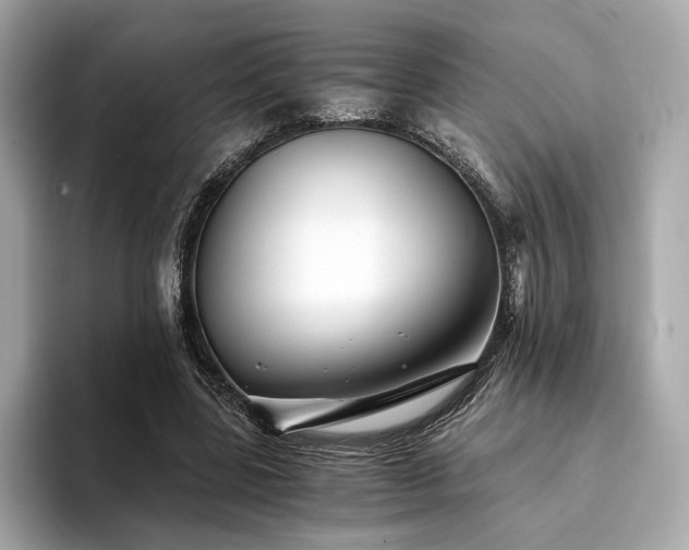 X0000094200539200710261154