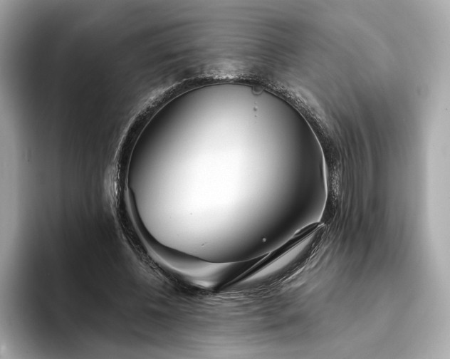 X0000094200540200710261154