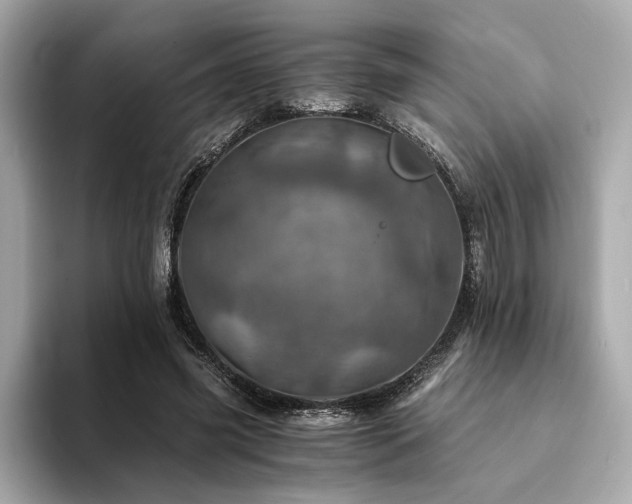 X0000094200541200710261154