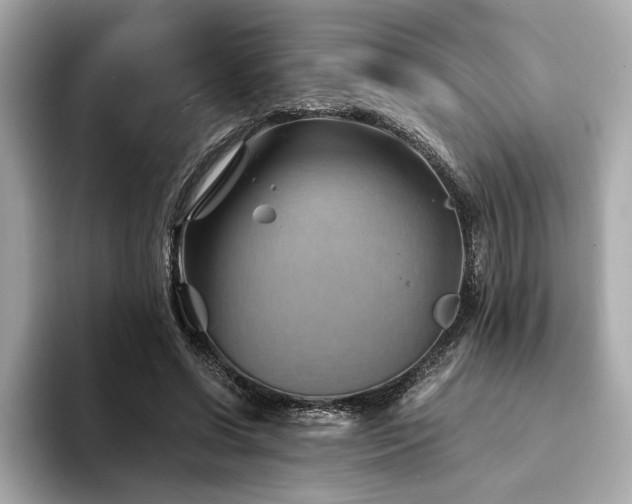 X0000094200542200710261154