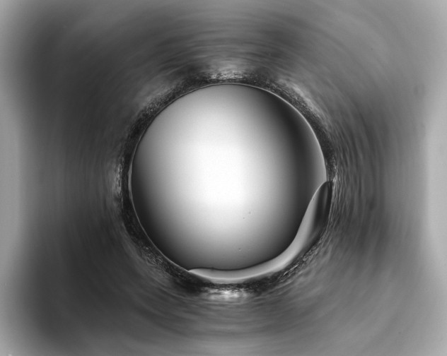 X0000094200543200710261154