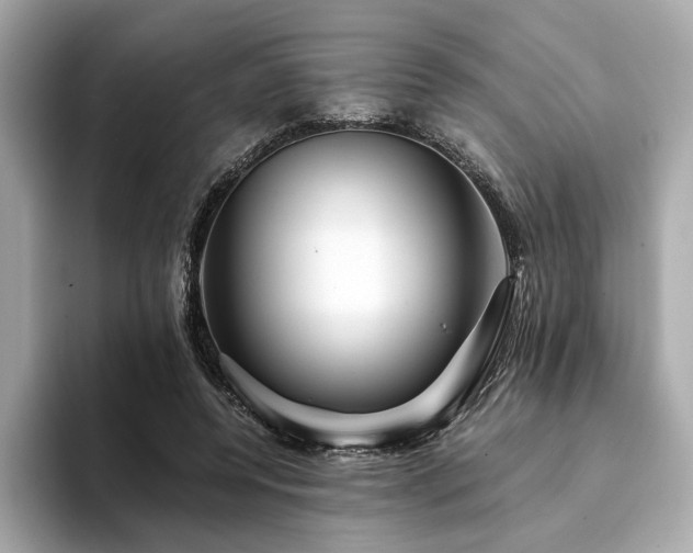 X0000094200544200710261154