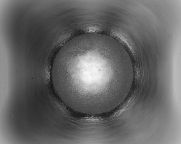 X0000094200545200710261154