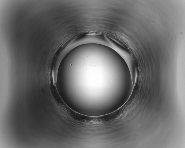 X0000094200546200710261154