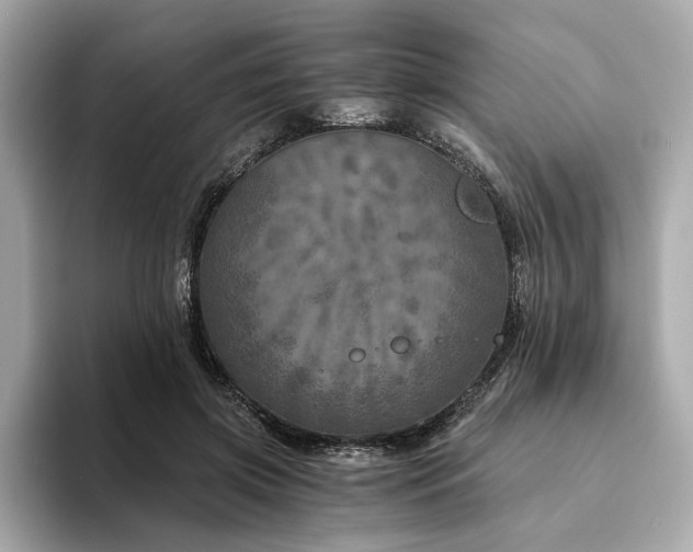 X0000094200549200710261154