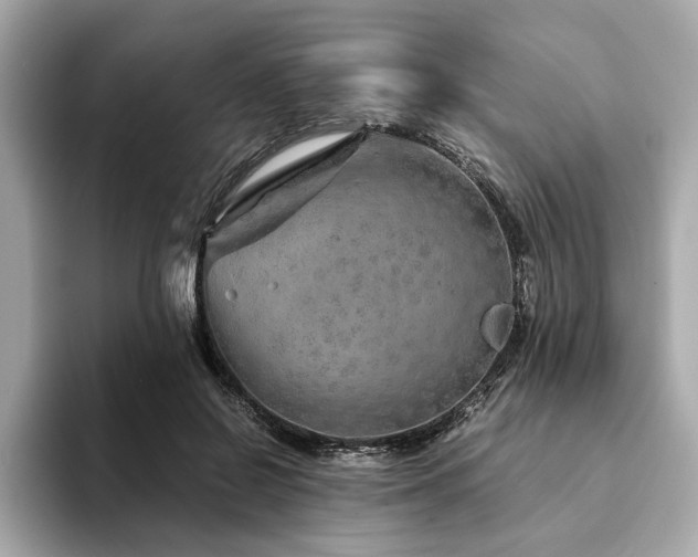 X0000094200550200710261154