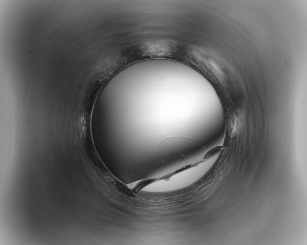 X0000094200551200710261154