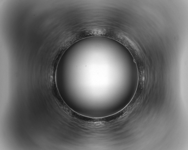 X0000094200553200710261154