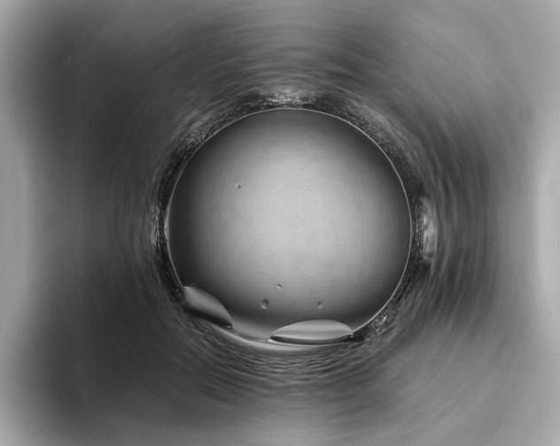 X0000094200554200710261154