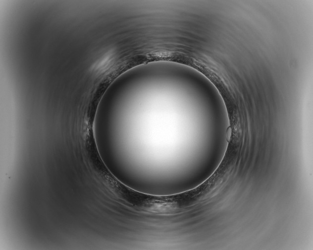 X0000094200555200710261154