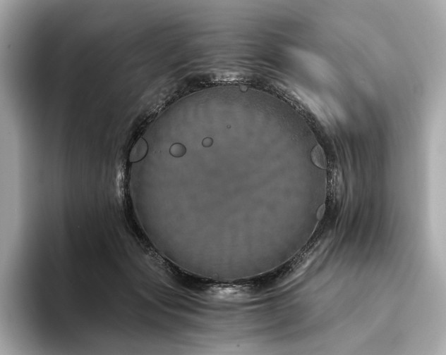 X0000094200557200710261154