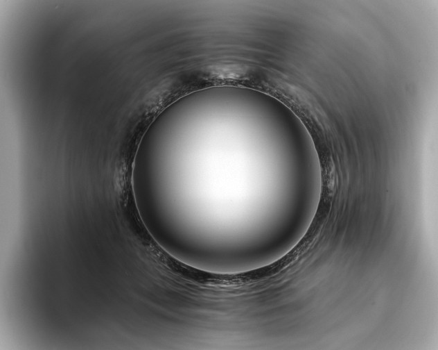 X0000094200559200710261154