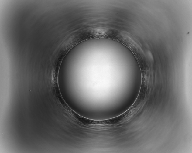 X0000094200561200710261154