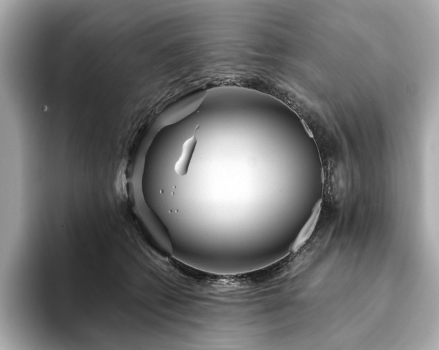 X0000094200562200710261154
