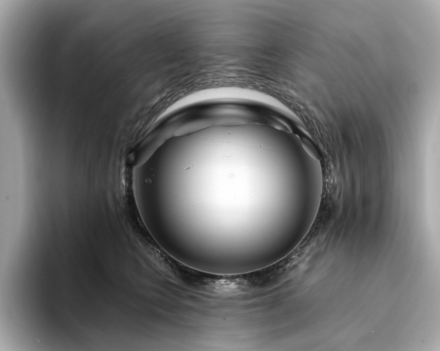 X0000094200566200710261154