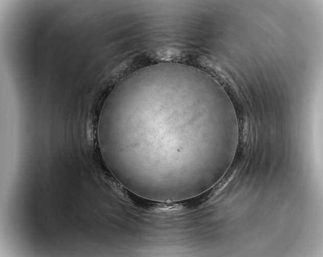 X0000094200569200710261154
