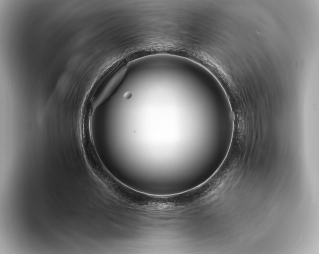X0000094200582200710261154