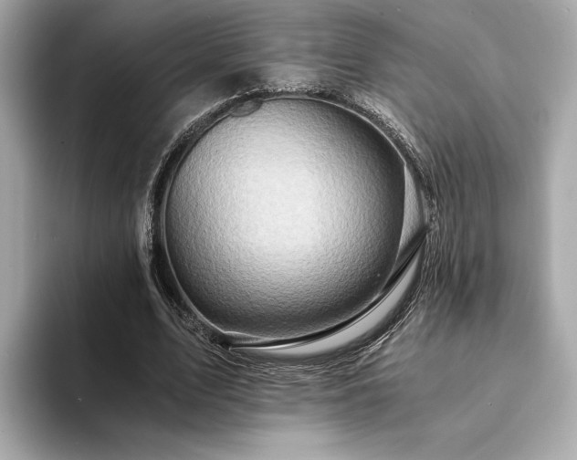 X0000094200583200710261154
