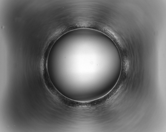 X0000094200586200710261154