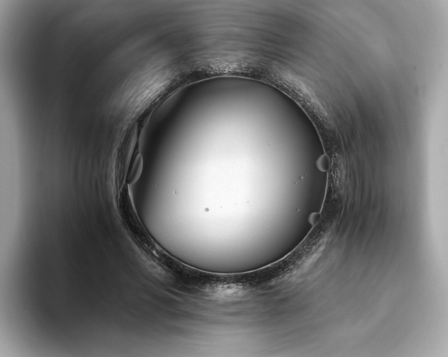 X0000094200590200710261154