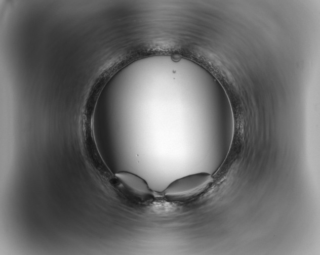 X0000094200591200710261154