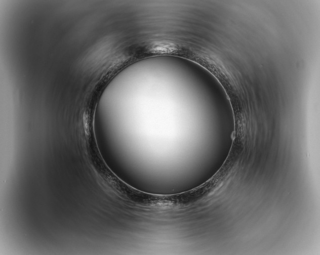 X0000094200598200710261153