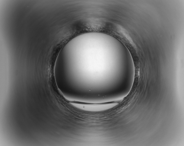 X0000094200599200710261153