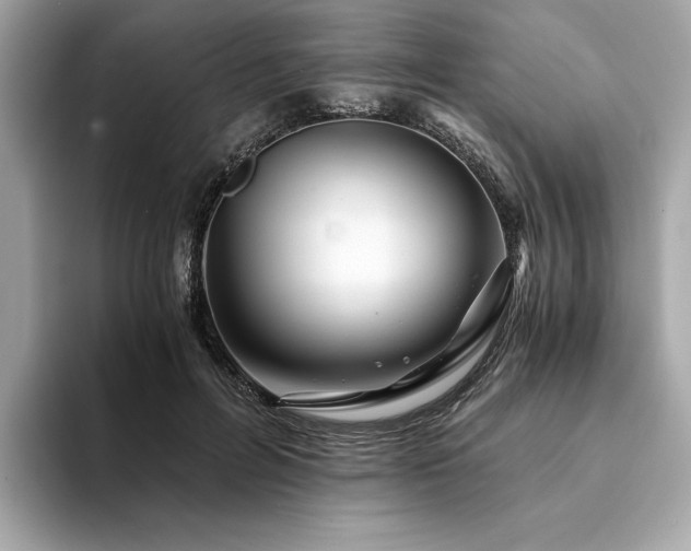 X0000094200600200710261153