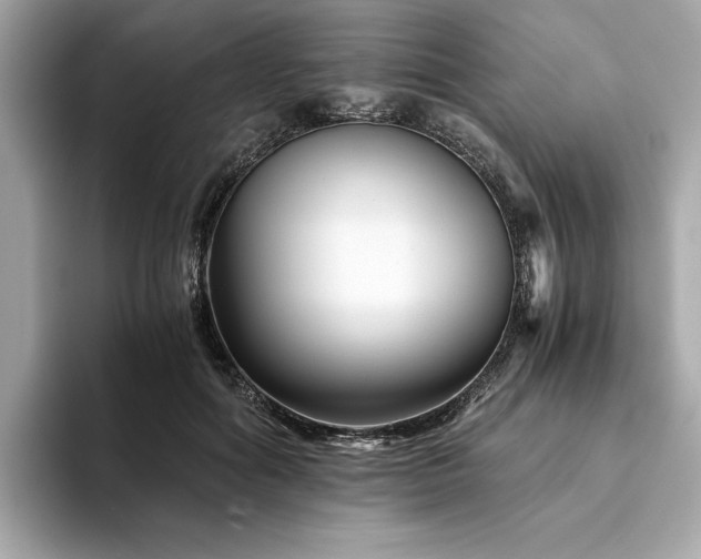 X0000094200602200710261153