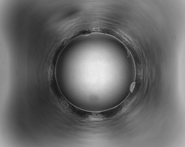X0000094200603200710261153