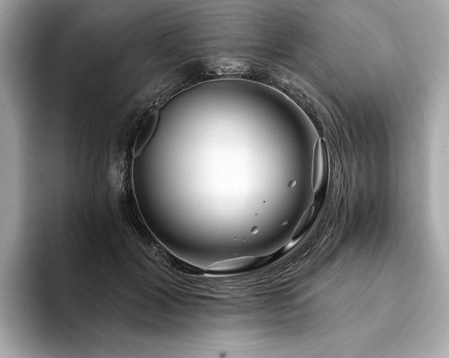 X0000094200604200710261153
