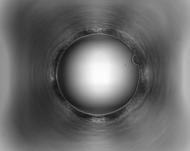 X0000094200606200710261153